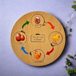 Life Cycle Board