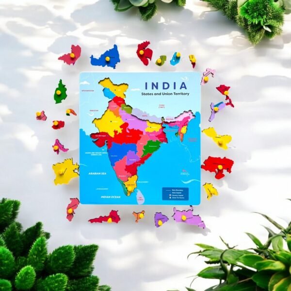 Indian Map Peg Puzzle - Interactive Geographical Learning - Image 2