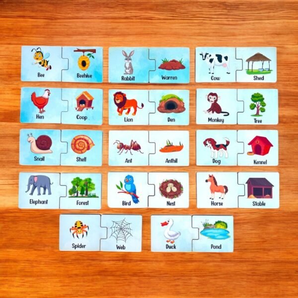 Animals and Their Homes