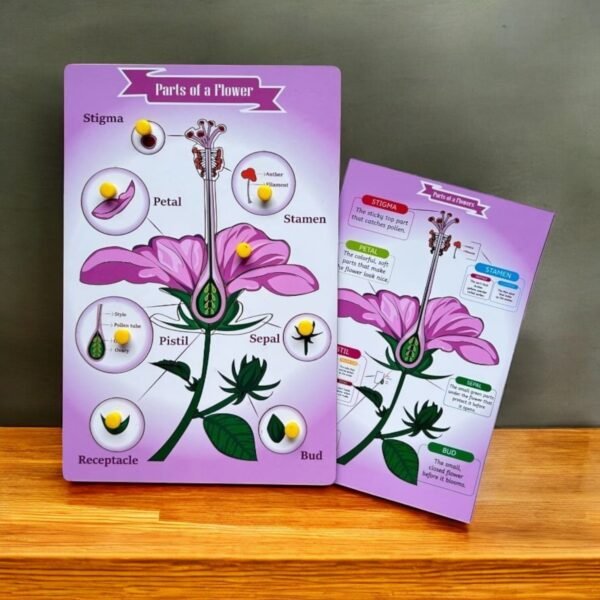 Parts of a Flower & Leaf Combo Kit - Image 2