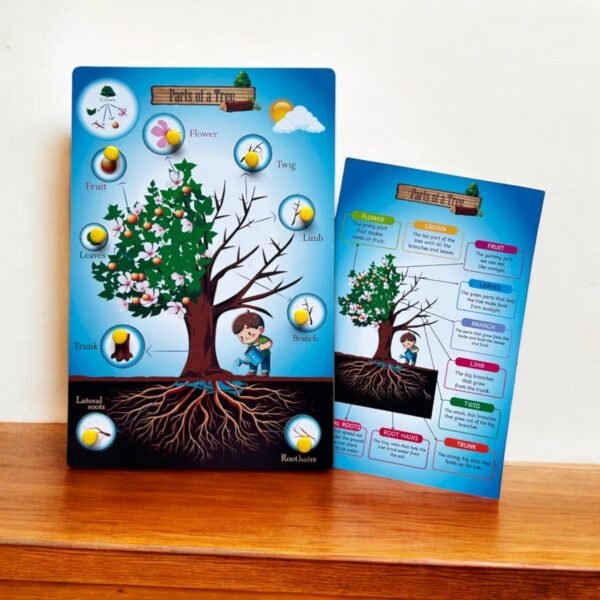 Parts of a Tree & Plant Combo Kit - Image 2
