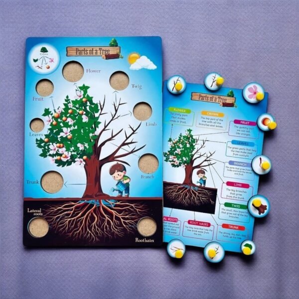 Parts of a Tree & Plant Combo Kit - Image 3