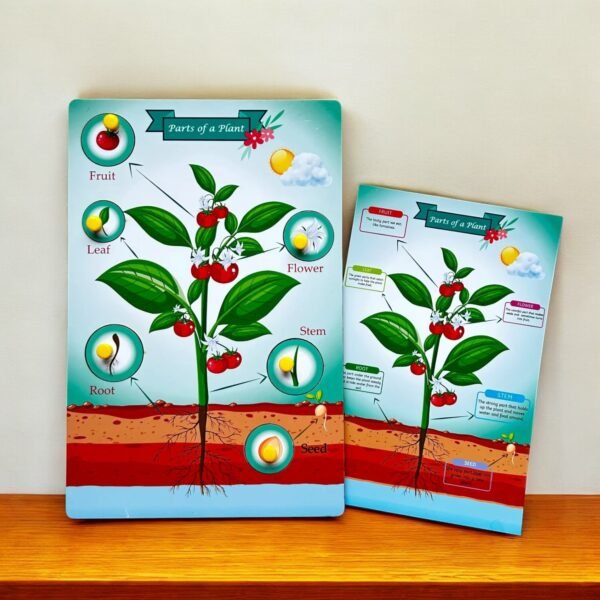 Parts of a Tree & Plant Combo Kit - Image 4