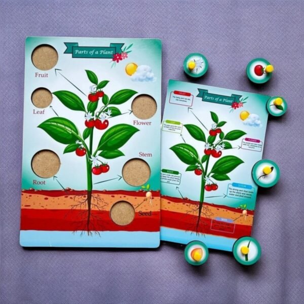 Parts of a Tree & Plant Combo Kit - Image 5