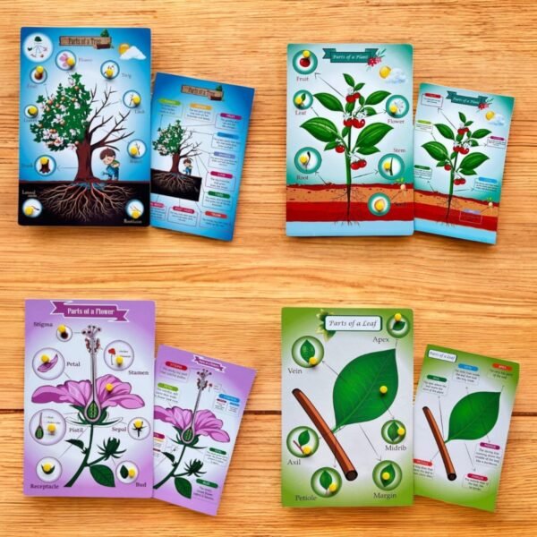 Parts of a Tree, Plant, Flower, Leaf Combo Kit