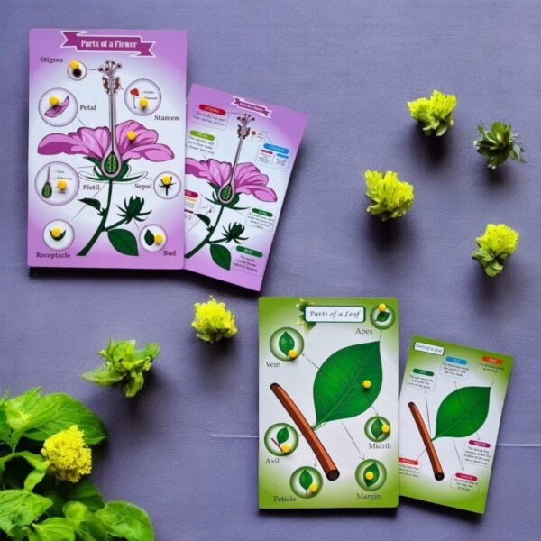 Parts of a Flower & Leaf Combo Kit