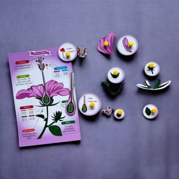 Parts of a Flower & Leaf Combo Kit - Image 3