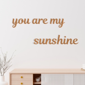 Wall decor (you are my sun shine)