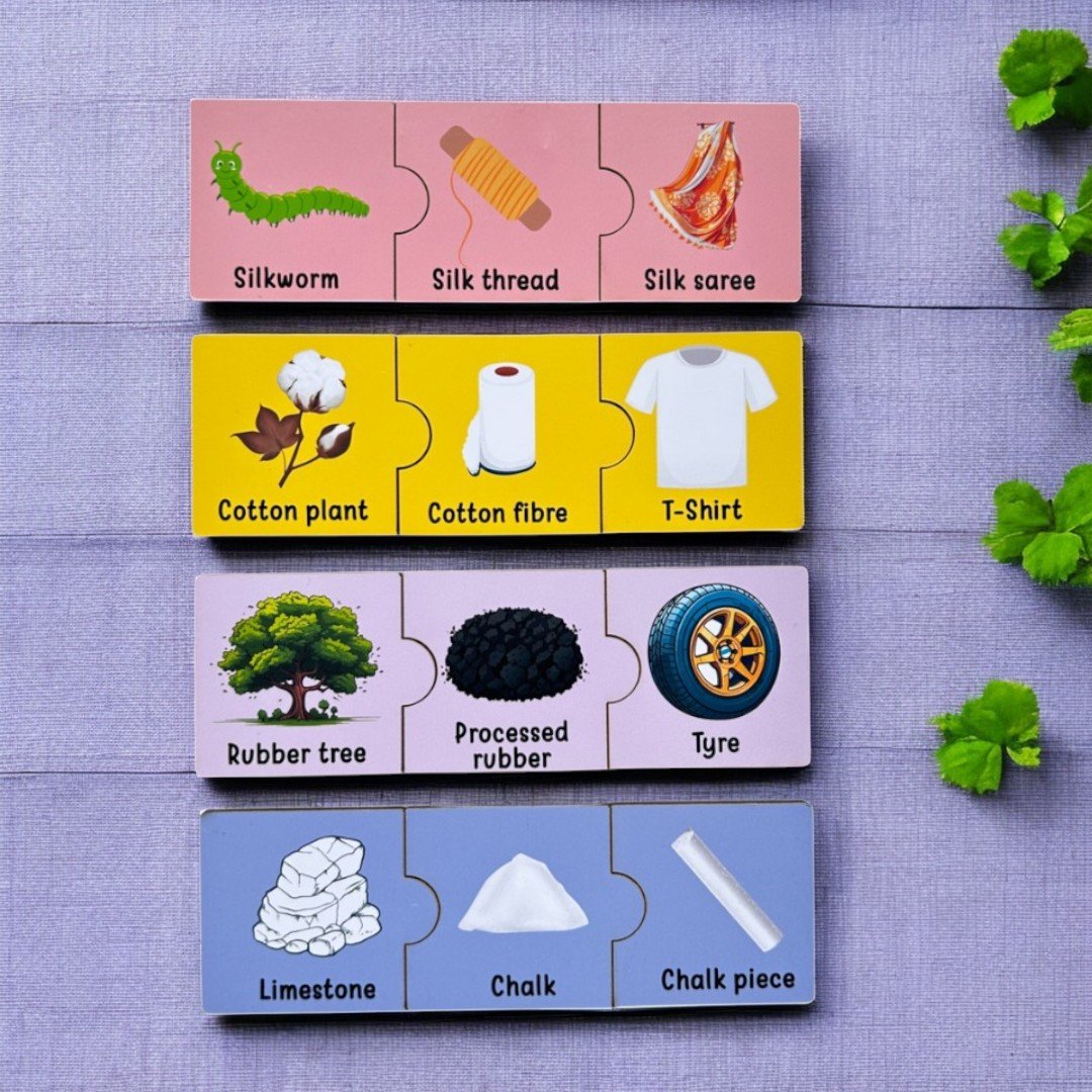 Raw To Ready And Singular Plural Collective Noun Puzzle Combo - Image 4