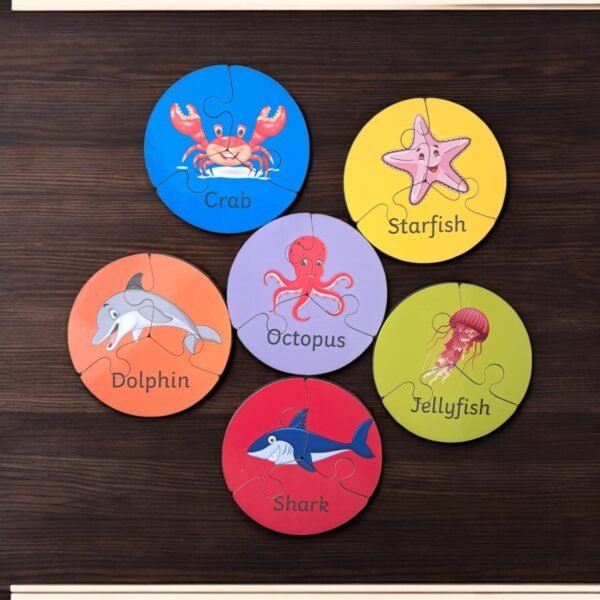 Early Learning Box Set - Image 4