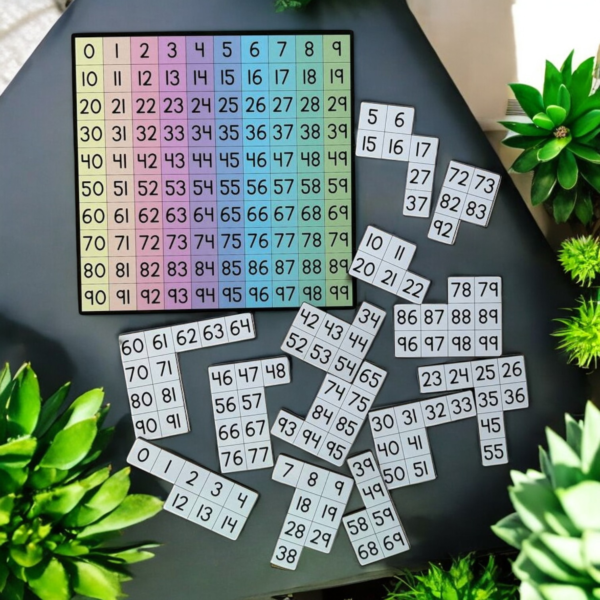 1-100 Chart Puzzle