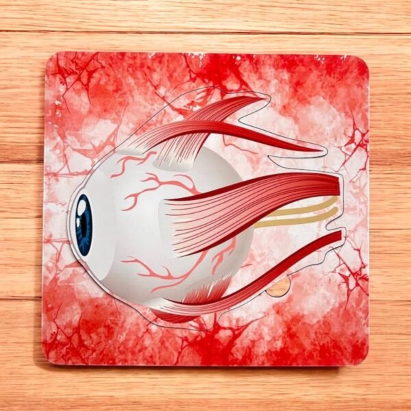 Human Body Anatomy Combo Kit - Image 5